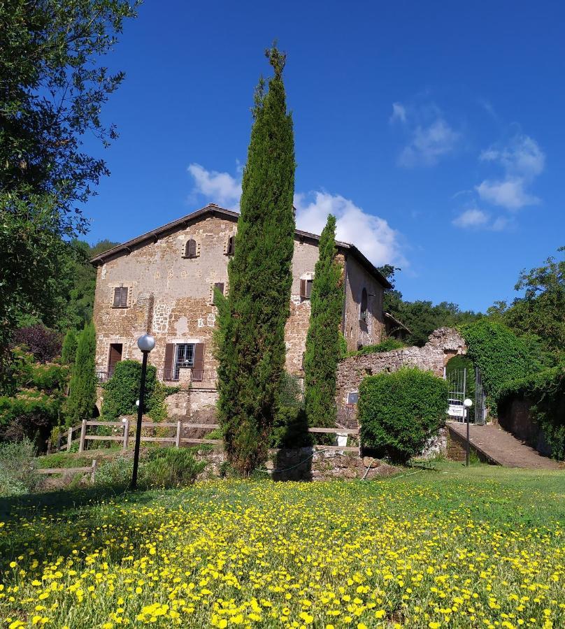 B&B Il Giardino Del Borgo Veiano Екстер'єр фото