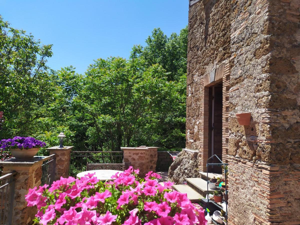 B&B Il Giardino Del Borgo Veiano Екстер'єр фото